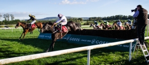 Goffs Thyestes Chase - a great national trial!